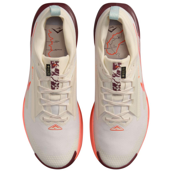 Nike Pegasus Trail 5 Gore-Tex